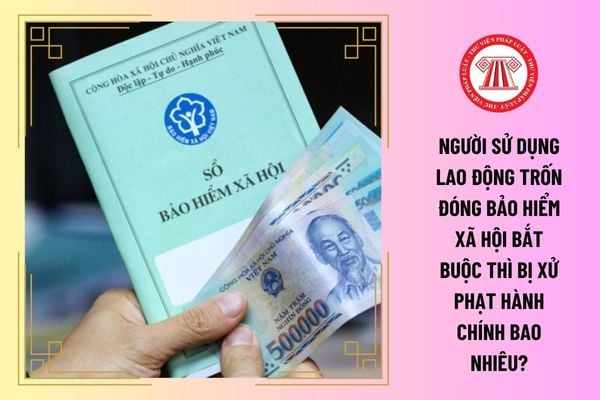 Người sử dụng lao động trốn đóng bảo hiểm xã hội bắt buộc thì bị xử phạt hành chính bao nhiêu?