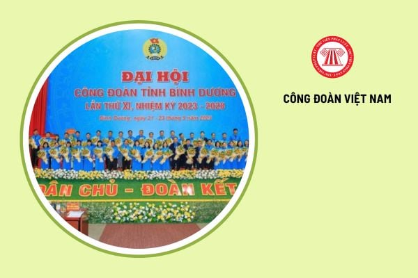 Công đoàn cấp tỉnh, ngành trung ương và tương đương gồm những thành phần nào?