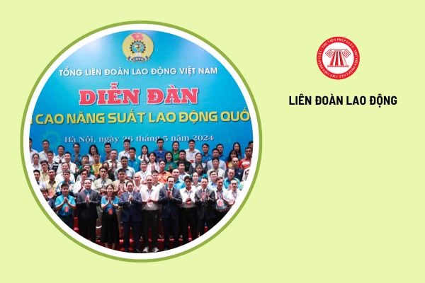 Liên đoàn lao động cấp tỉnh do ai quyết định thành lập?