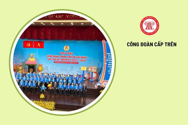 Cơ quan nào quyết định thành lập công đoàn cấp trên trực tiếp cơ sở?