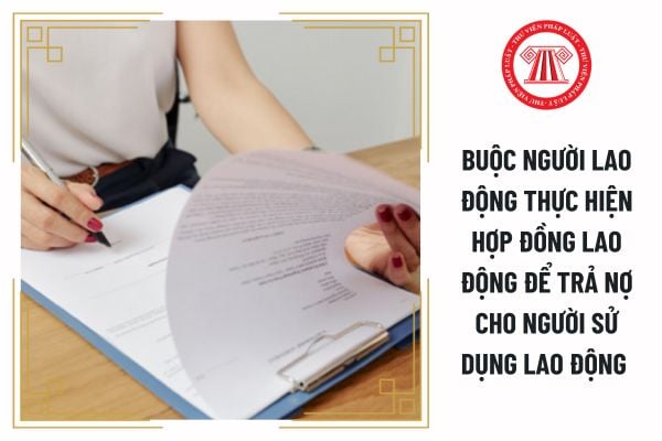 Buộc người lao động thực hiện hợp đồng lao động để trả nợ cho người sử dụng lao động có phải là hành vi bị cấm không?