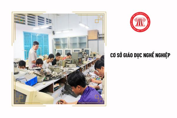 Quy hoạch mạng lưới cơ sở giáo dục nghề nghiệp bao gồm những nội dung gì?