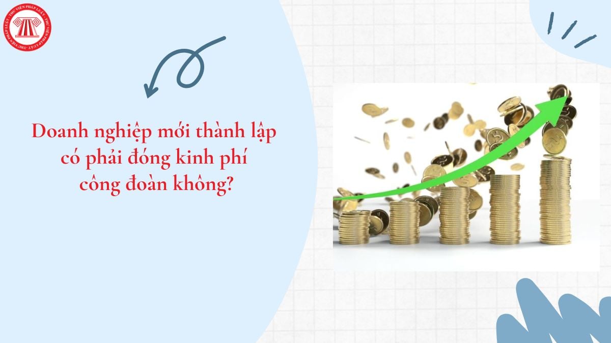 Lao Động Tiền Lương