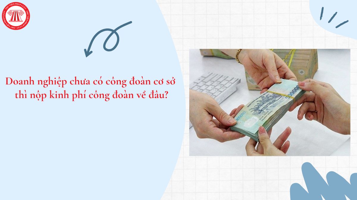 Doanh nghiệp chưa có công đoàn cơ sở thì nộp kinh phí công đoàn về đâu?
