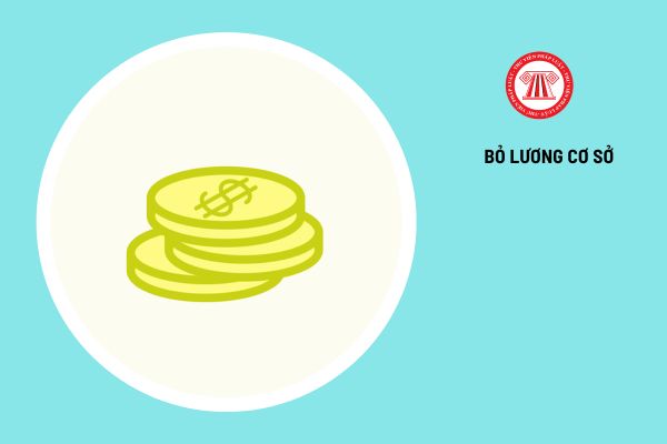 Chính phủ chốt bỏ lương cơ sở 2,34 triệu thay thế mức thay chiếu không thấp hơn mức lương cơ sở dùng trong BHXH cho toàn bộ đối tượng thì mức tham chiếu được điều chỉnh như thế nào?