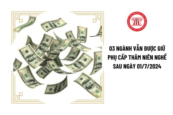 03 ngành vẫn được giữ phụ cấp thâm niên nghề sau ngày 01/7/2024 là gì?