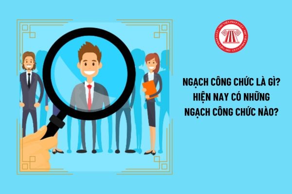 Ngạch công chức là gì? Hiện nay có những ngạch công chức nào?