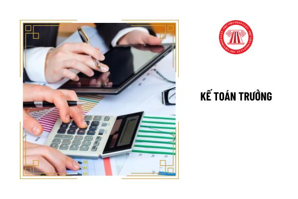 Kế toán trưởng của đơn vị kế toán nào phải có chuyên môn nghiệp vụ về kế toán từ trình độ trung cấp chuyên nghiệp trở lên?