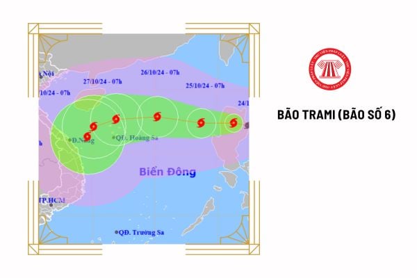 Bão Trà Mi (bão số 6) ảnh hưởng đến tỉnh nào? Doanh nghiệp thông báo nghỉ bão số 6 thì dùng mẫu nào?