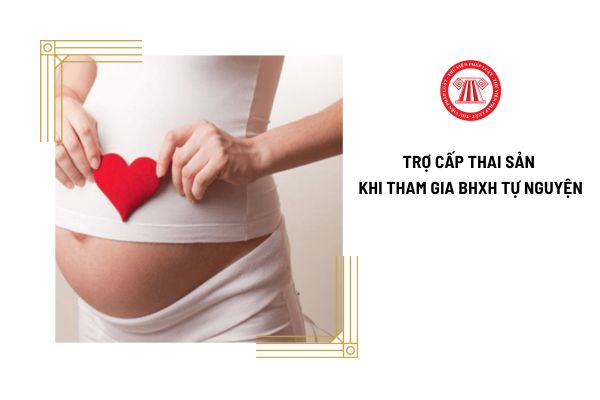 Từ 1/7/2025, tham gia BHXH tự nguyện sẽ nhận trợ cấp thai sản bao nhiêu khi sinh con?