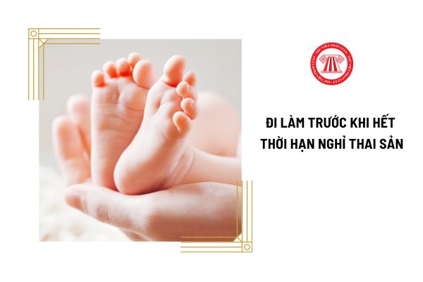 Muốn đi làm trước khi hết thời hạn nghỉ thai sản thì phải nghỉ được ít nhất bao lâu?