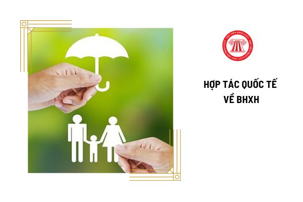 Hợp tác quốc tế về bảo hiểm xã hội được thực hiện theo nguyên tắc nào?