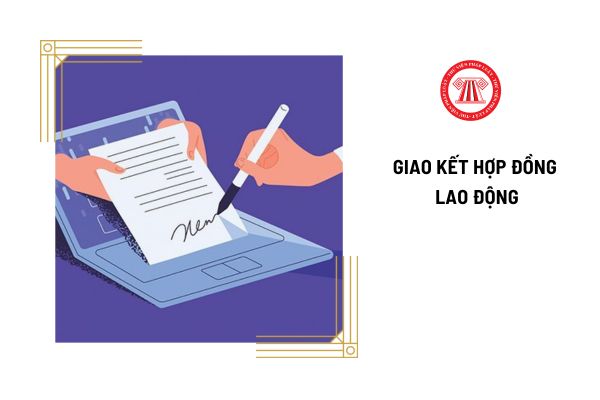 Người sử dụng lao động có phải cung cấp thông tin về địa điểm làm việc khi giao kết hợp đồng lao động không?