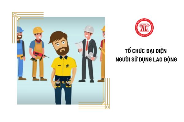 Tổ chức đại diện người sử dụng lao động có quyền và trách nhiệm gì trong việc tổ chức thực hiện bảo hiểm xã hội?