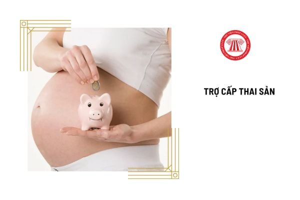 Đóng loại bảo hiểm xã hội nào thì được hưởng trợ cấp thai sản?