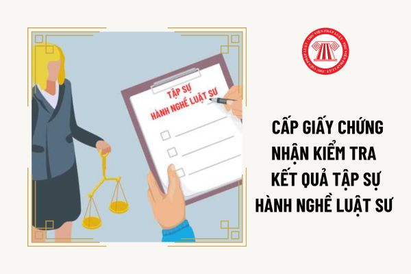 Thẩm quyền cấp Giấy chứng nhận kiểm tra kết quả tập sự hành nghề luật sư thuộc về ai?