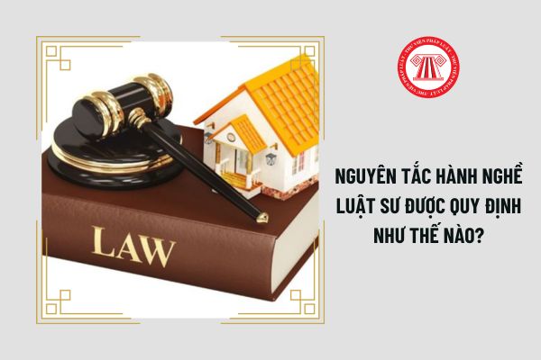 Luật sư là ai? Nguyên tắc hành nghề luật sư được quy định như thế nào?