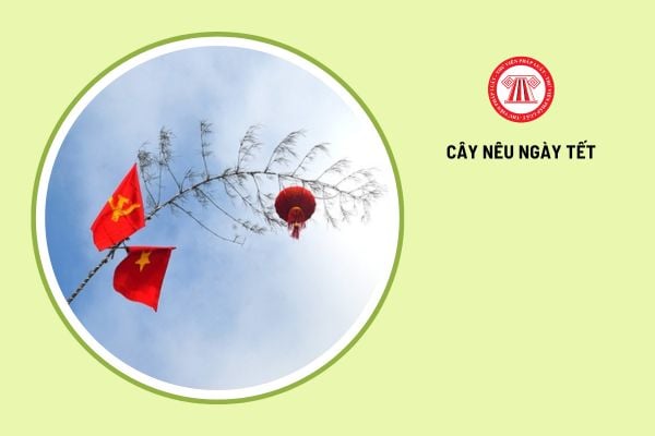 Cây nêu ngày Tết mang ý nghĩa gì? 