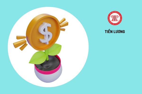 Lao Động Tiền Lương