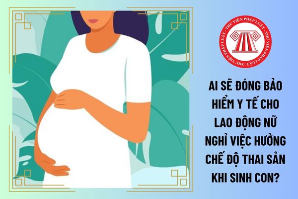 Ai sẽ đóng bảo hiểm y tế cho lao động nữ nghỉ việc hưởng chế độ thai sản khi sinh con? 