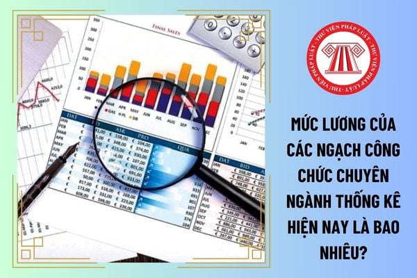 Mức lương của các ngạch công chức chuyên ngành thống kê hiện nay là bao nhiêu?