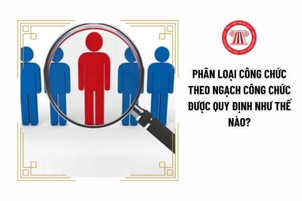 Phân loại công chức theo ngạch công chức được quy định như thế nào?