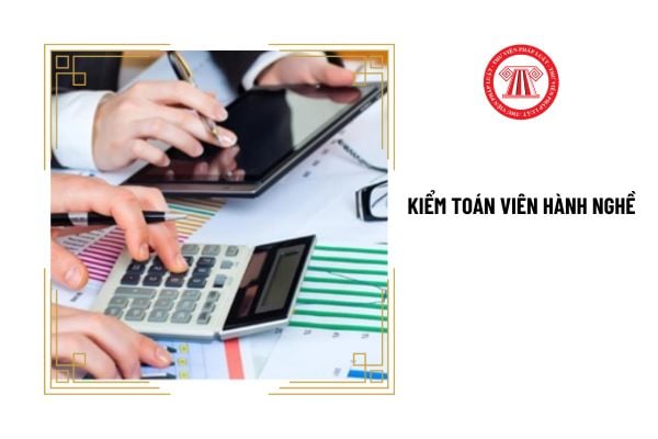 Kiểm toán viên hành nghề bị đình chỉ hành nghề kiểm toán trong trường hợp nào?