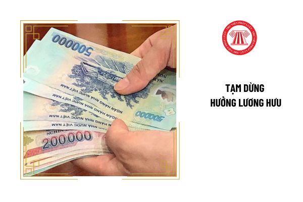 Thay đổi trường hợp bị tạm dừng hưởng lương hưu từ năm 2025 là gì?