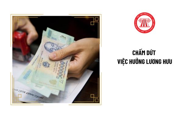 Trường hợp nào bị chấm dứt việc hưởng lương hưu?