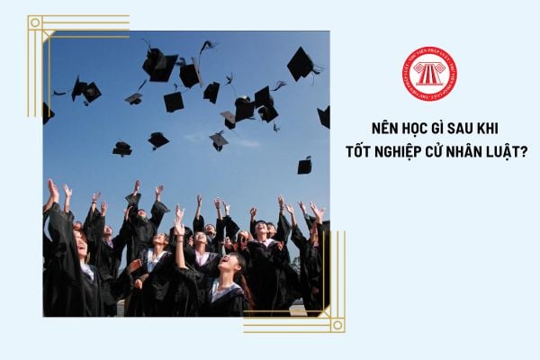 Cử nhân Luật là ai? Nên học gì sau khi tốt nghiệp cử nhân Luật? 