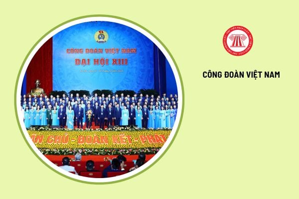 Công đoàn tổng công ty có phải là công đoàn cấp trên trực tiếp cơ sở không?