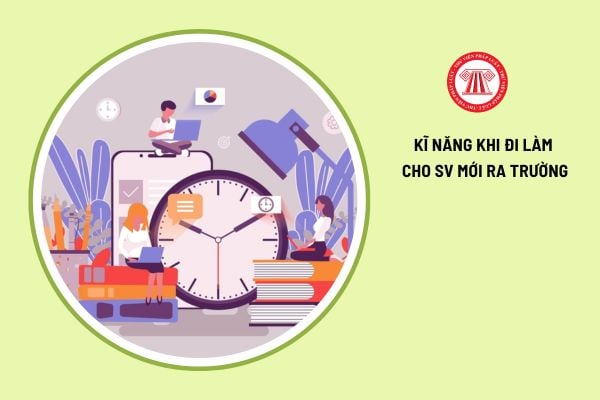 Những kỹ năng cần thiết khi đi làm dành cho sinh viên mới ra trường?