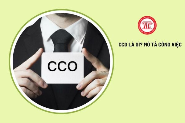 CCO là gì? Mô tả công việc của CCO? Kỹ năng cần có là gì?