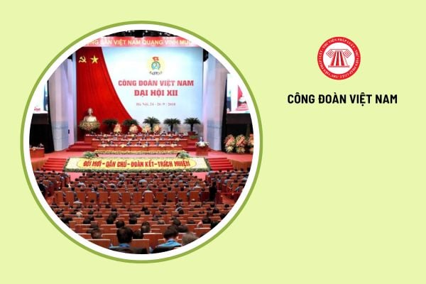 Công đoàn ngành trung ương được tổ chức như thế nào?