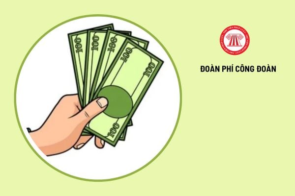 Công đoàn cơ sở, nghiệp đoàn cơ sở quản lý tiền đoàn phí công đoàn như thế nào?