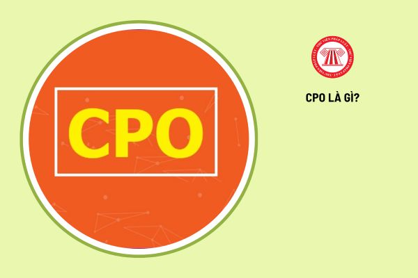 CPO là gì? Vai trò của CPO trong doanh nghiệp là gì?