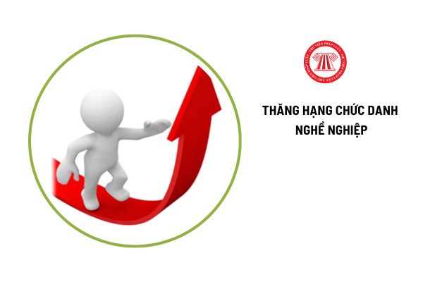 Cơ quan nào thành lập Hội đồng xét thăng hạng chức danh nghề nghiệp?