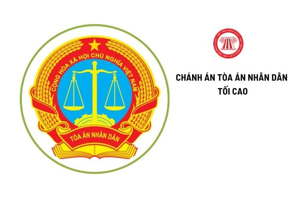 Chánh án Tòa án nhân dân tối cao cần đáp ứng tiêu chuẩn gì?