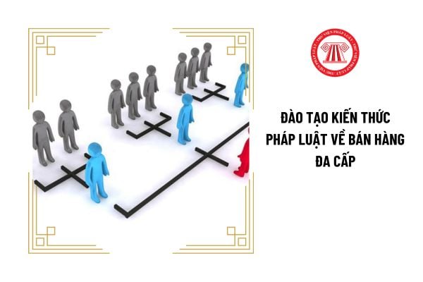 Nội dung đào tạo kiến thức pháp luật về bán hàng đa cấp là gì?