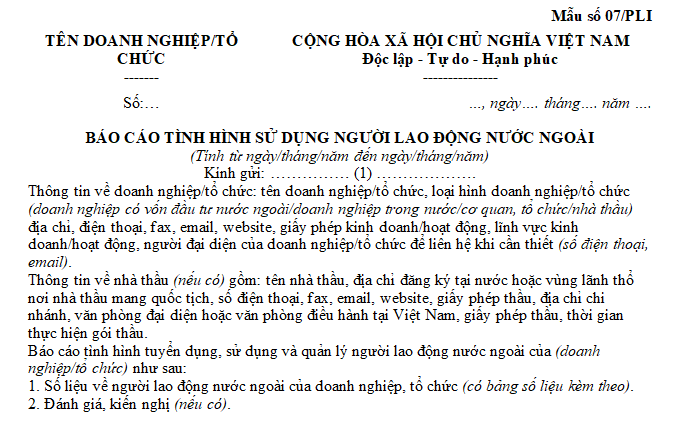 báo cáo tình hình sử dụng người lao động nước ngoài đầu năm 2024