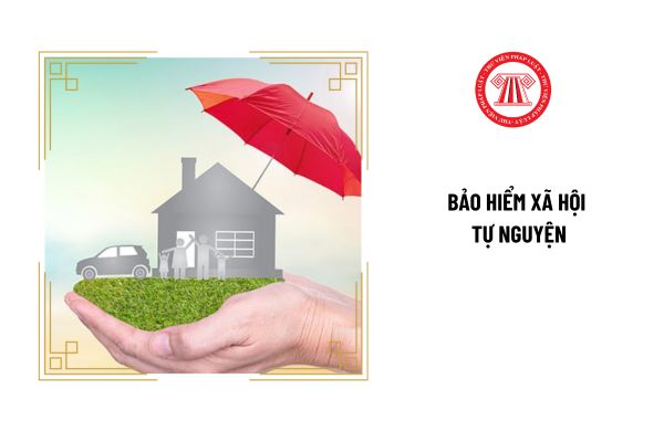 Thời hạn đóng bảo hiểm xã hội tự nguyện đối với người lao động là khi nào?