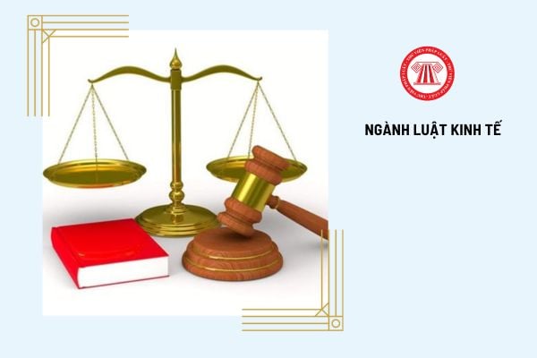 Ngành Luật Kinh tế là gì? Ngành Luật Kinh tế học những gì?