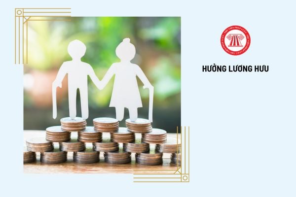 Pháp luật