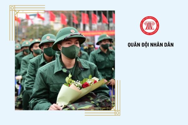 Cấu tạo cơ bản cấp hiệu của Quân đội nhân dân Việt Nam là gì?