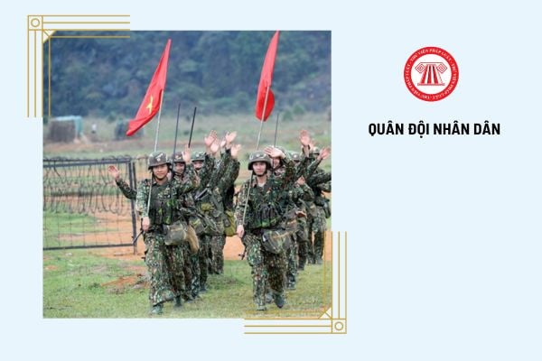 Quân hiệu của Quân đội nhân dân Việt Nam có mấy loại?