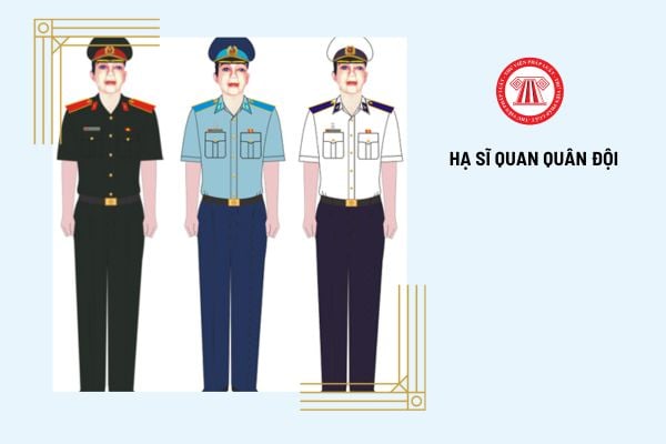 Trang phục dự lễ của hạ sĩ quan quân đội là gì?