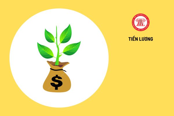 Lao Động Tiền Lương