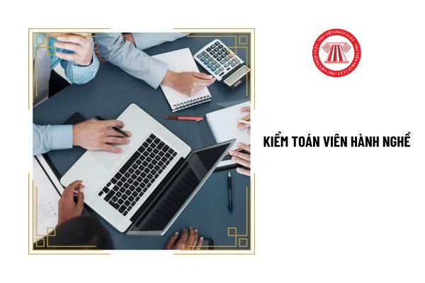 Nội dung cập nhật kiến thức của kiểm toán viên hành nghề là gì?