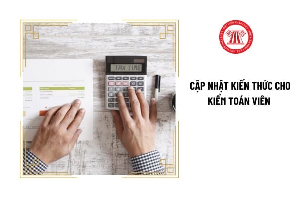 Kiểm toán viên được tính cộng dồn số giờ cập nhật kiến thức hàng năm trong bao lâu?