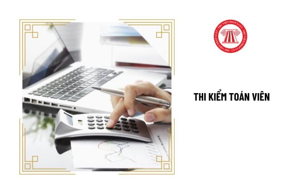 Hội đồng thi kiểm toán viên do ai thành lập?